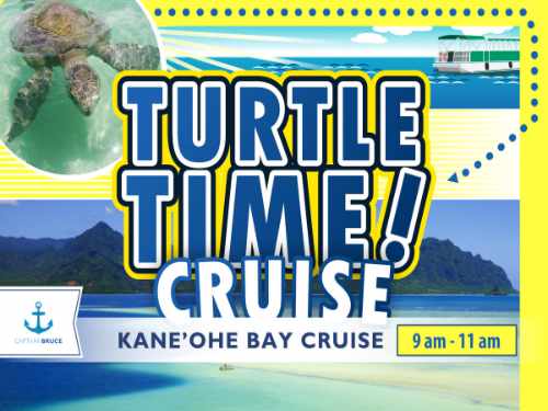 Kaneohe Bay Turtle Time! Cruise