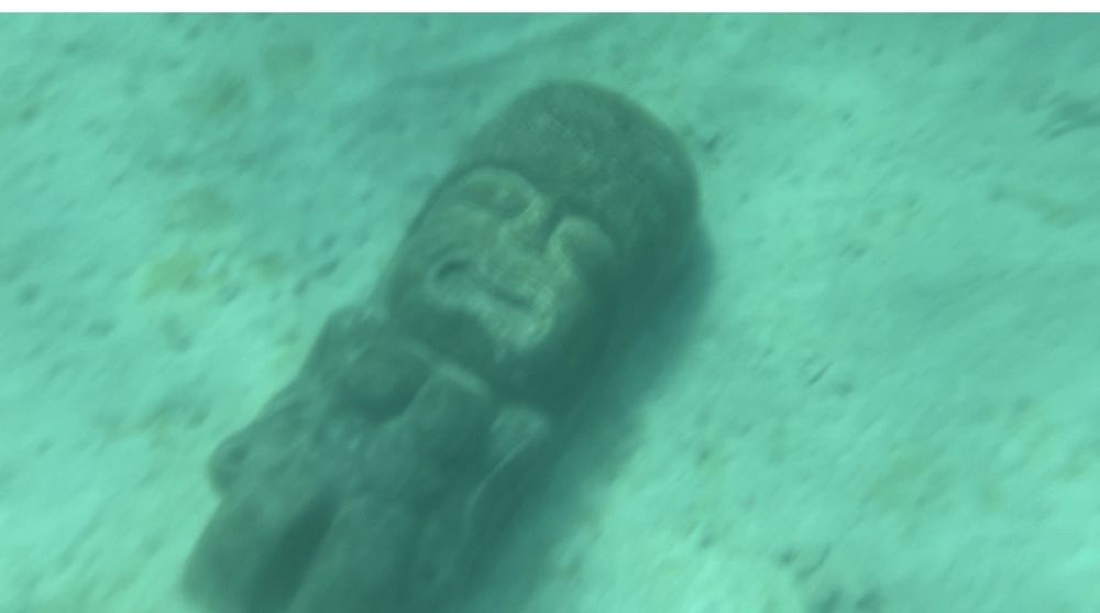 Oahu Sandbar Reviews