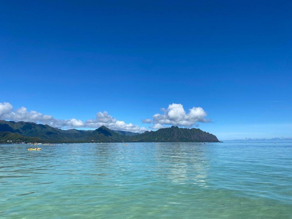 Oahu Sandbar Reviews