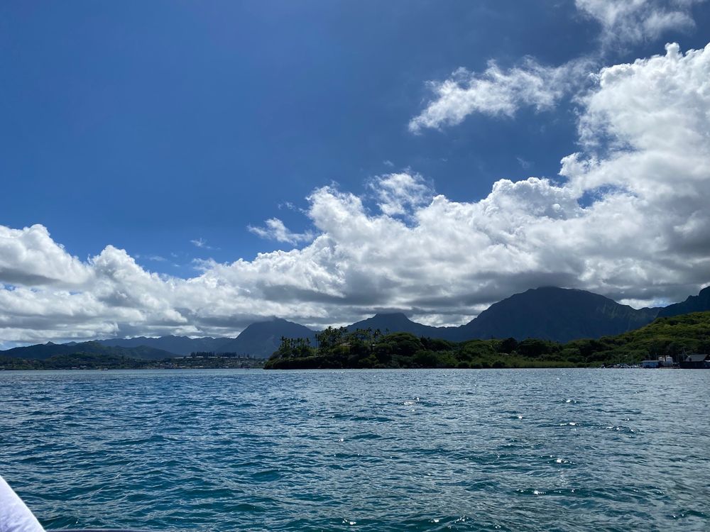 Oahu Sandbar Reviews