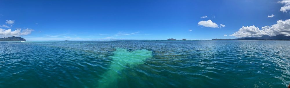 Oahu Sandbar Reviews